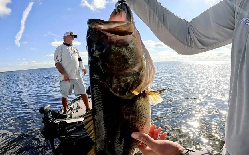 Targeting Trophy Bass in Pressured Waters: Advanced Techniques for Catching Largemouth Bass in 2026