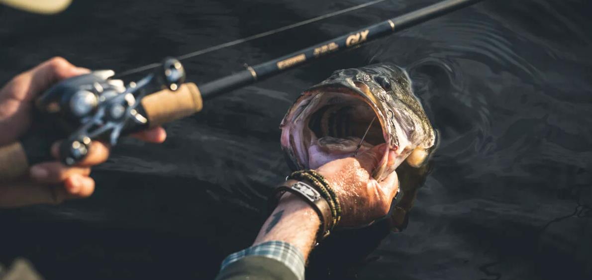 7 Reasons Why You Don’t Catch Big Bass